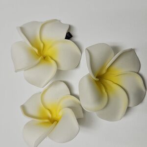 3 PLUMERIA CLIPS-New